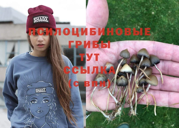 индика Бронницы