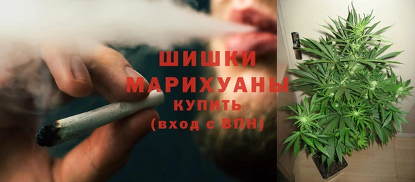 мдпв Бугульма