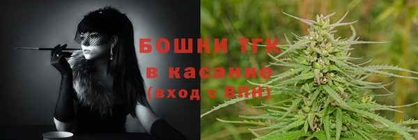 мдпв Бугульма