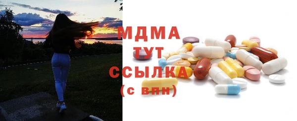 индика Бронницы