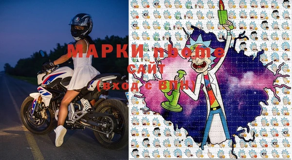 индика Бронницы