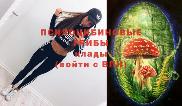 jwh Бородино