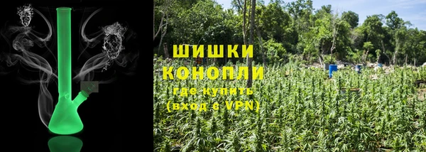 мдпв Бугульма