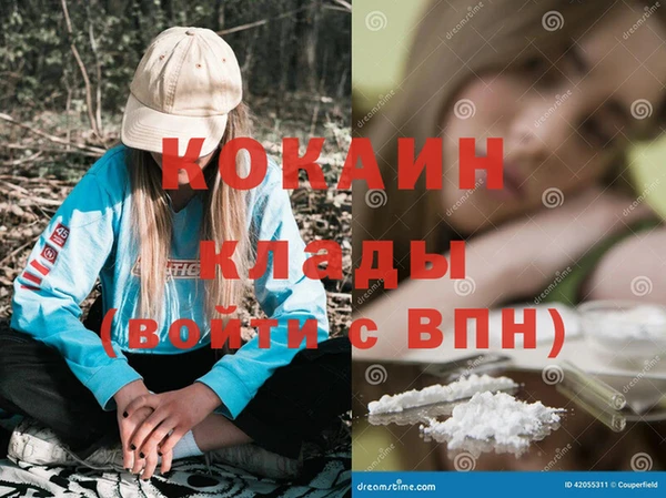 индика Бронницы
