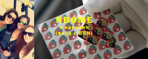 индика Бронницы