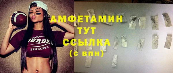 индика Бронницы