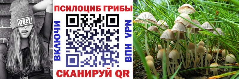хочу   Гороховец  Псилоцибиновые грибы Psilocybe 